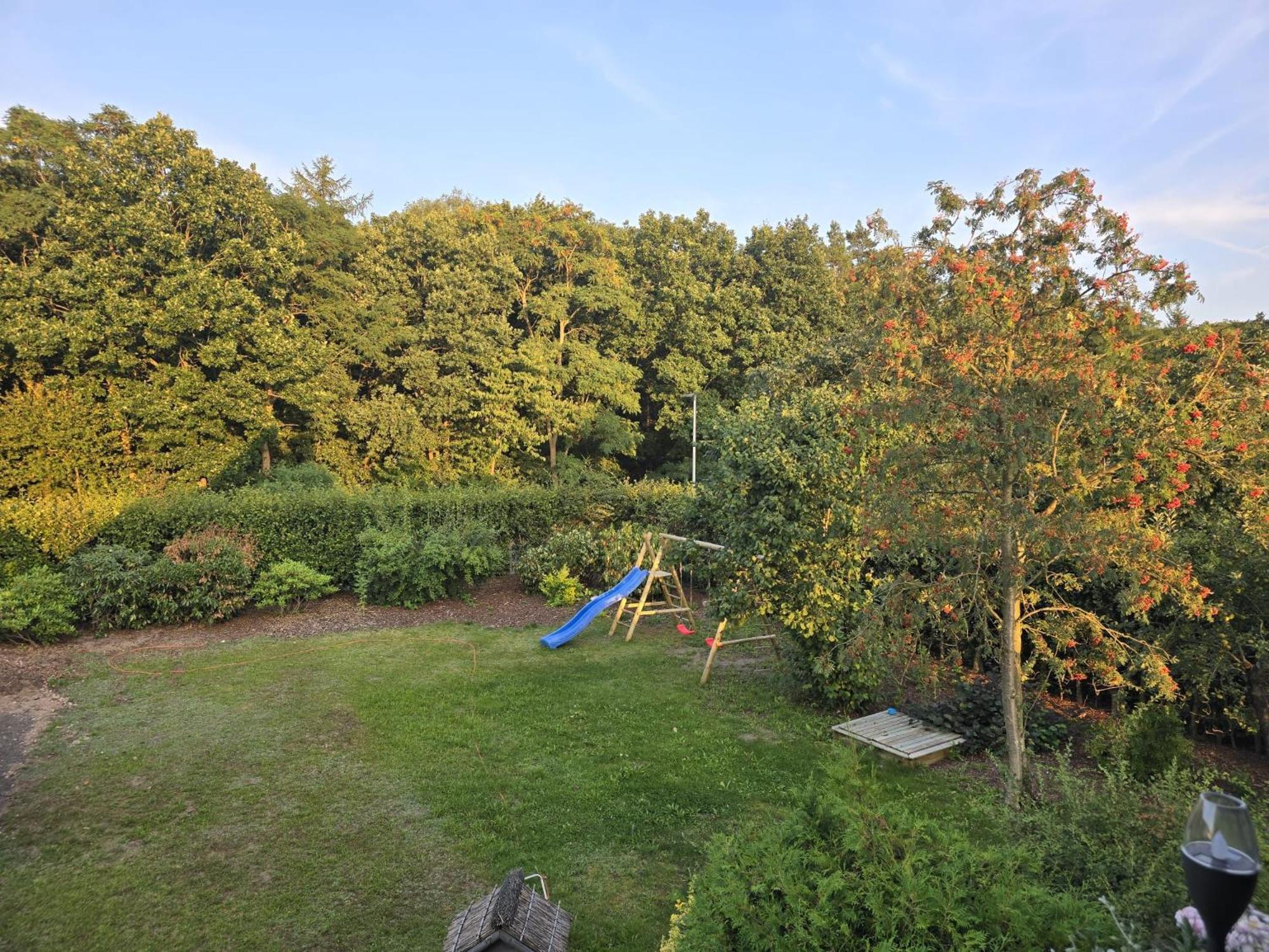 Morgensonne